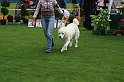 IMG_2065