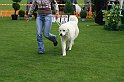 IMG_2066