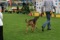 IMG_2068