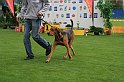IMG_2071