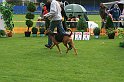 IMG_2075