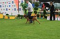 IMG_2076