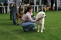 IMG_2077