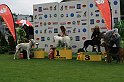 IMG_2080
