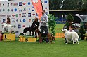 IMG_2081