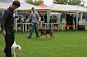 IMG_2082