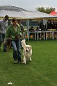 IMG_2084