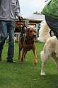 IMG_2085