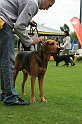 IMG_2086