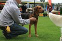 IMG_2090