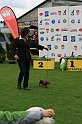 IMG_2091