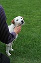 IMG_2095