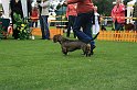 IMG_2098