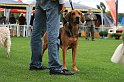IMG_2100