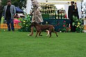 IMG_2103
