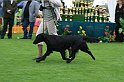 IMG_2106