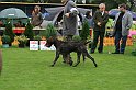 IMG_2108