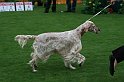 IMG_2109