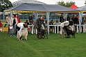 IMG_2114