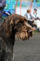 IMG_2116