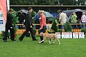 IMG_2118