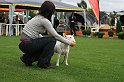 IMG_2125