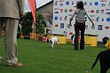 IMG_2130
