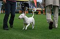 IMG_2135