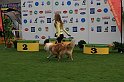 IMG_2141