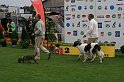 IMG_2144