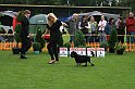 IMG_2147