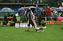 IMG_2151