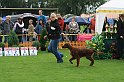 IMG_2153