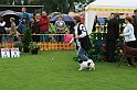 IMG_2154