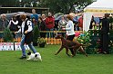 IMG_2155