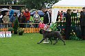 IMG_2156