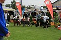 IMG_2161