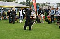 IMG_2166