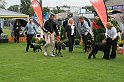 IMG_2168