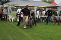 IMG_2169