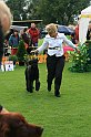 IMG_2177