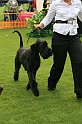 IMG_2179