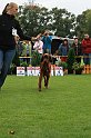 IMG_2181