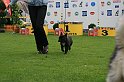 IMG_2188