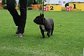 IMG_2190