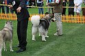 IMG_2198