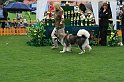 IMG_2200