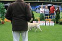 IMG_2203