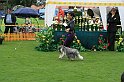 IMG_2207
