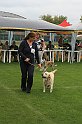IMG_2209